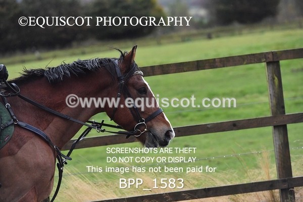 BPP_1583 - CLASS 2 - 70CM