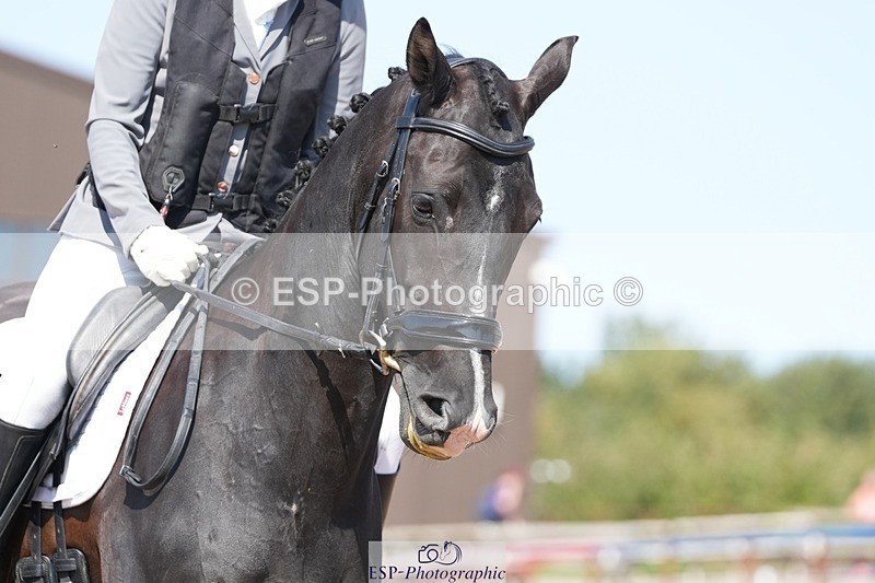 250817-150849-11136 - 201-Clare.WattsMSJ.Chain.Reaction