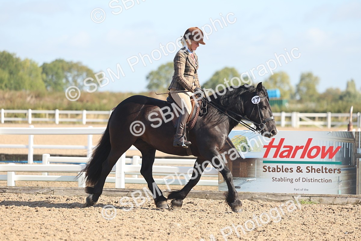 SBM_22283 - Class 803 - Ridden Combination 65+