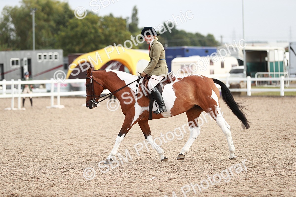 SBM_17575 - Class 215 Ridden Hack/ Riding Horse