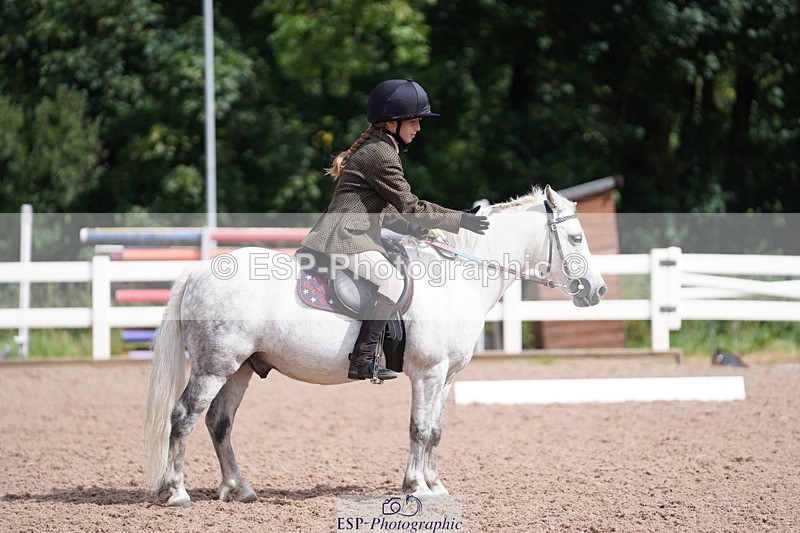 240809A-105018-00678 - Dressage Competition