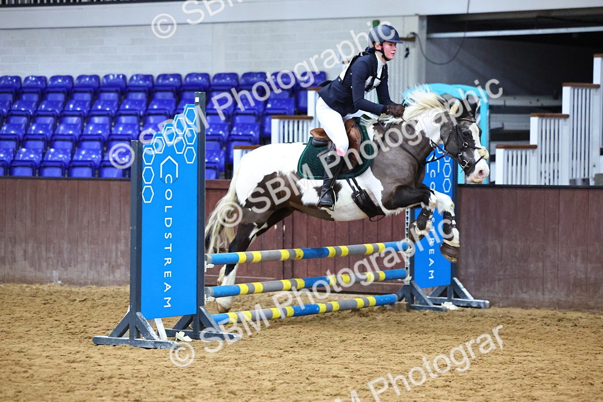 SBM_001339 - Class 3 - Christmas Tree Stakes - 60cm