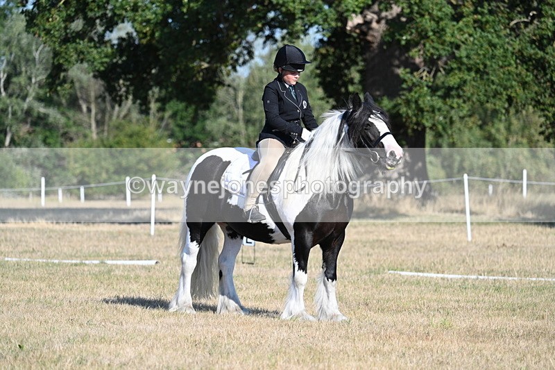 WJ7_8874 - Time 09:00 to 09:24