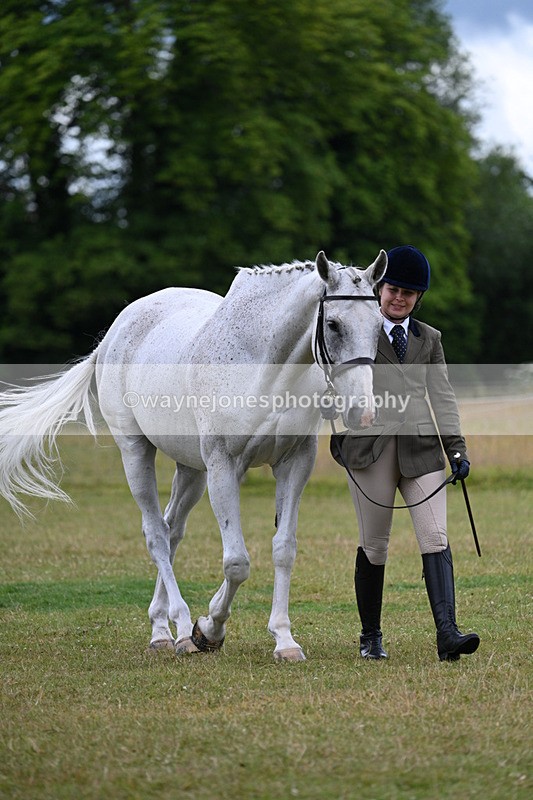 WJ7_6974 - Class 5a Most Handsome Gelding in Hand