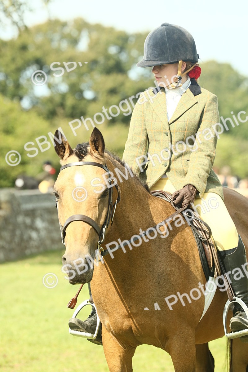 SBM_68858 - S58 - Mini Show Cob Ridden