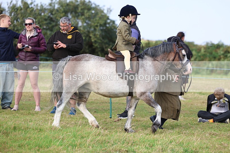 3E7A3385 - Class 2: Lead rein