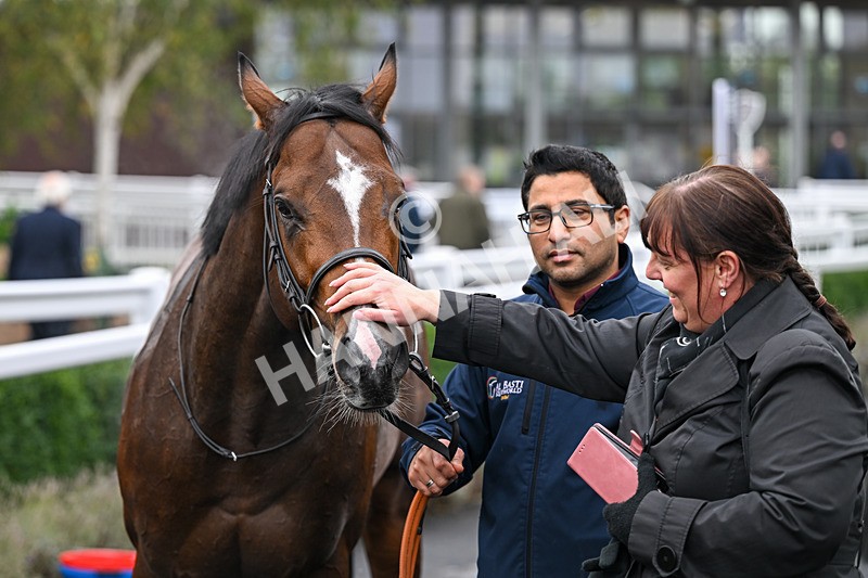 181025-Race 7-Lexington Blitz-1518 - Race 7