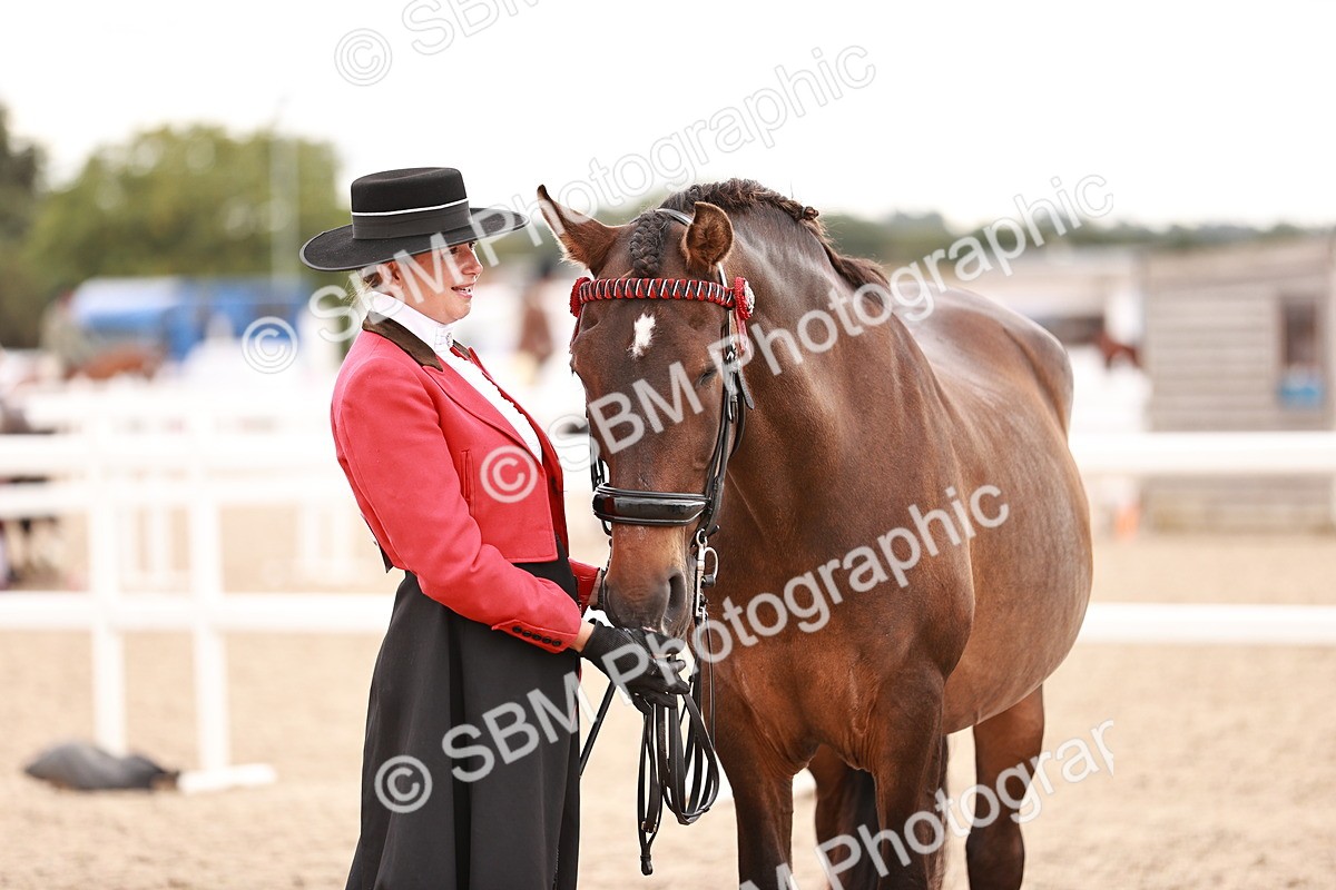 SBM_16933 - Class 415 - Horse-Pony Judge would most like to take home