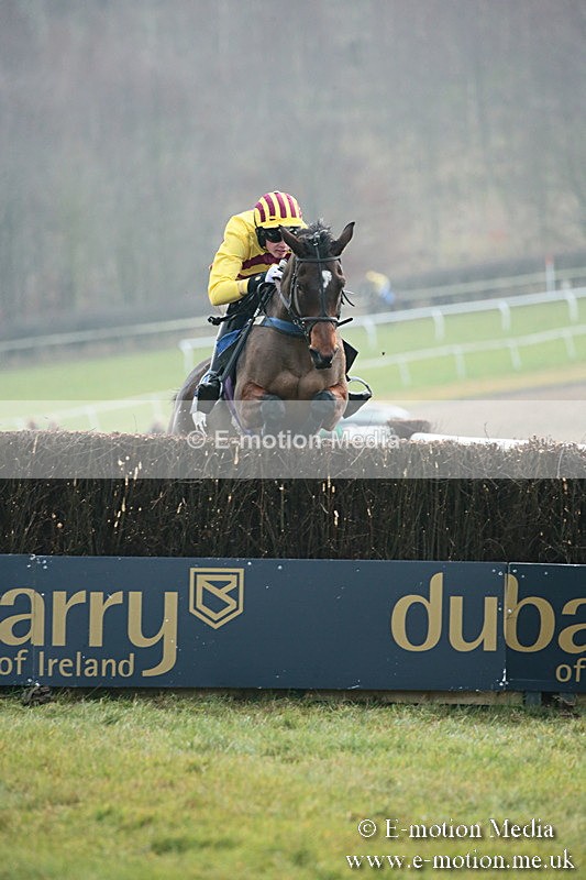 PtP 251118-83 - Vine & Craven Point-to Point Barbury Racecourse 25/11/18