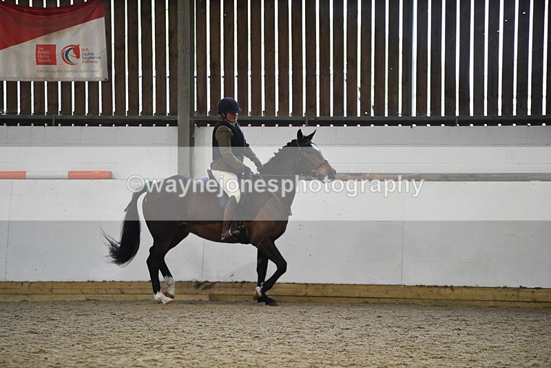 WJ5_7960 - Class 13 Ridden Part Breed
