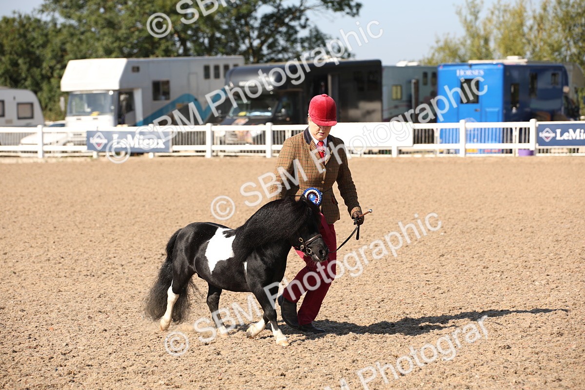 SBM_01576 - Class 15 IH Coloured