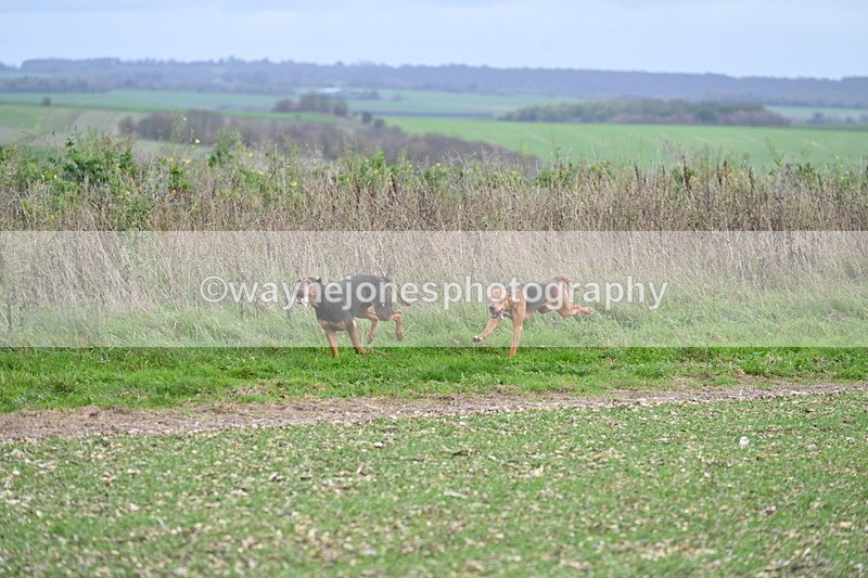 WJ7_2546 - Camera A