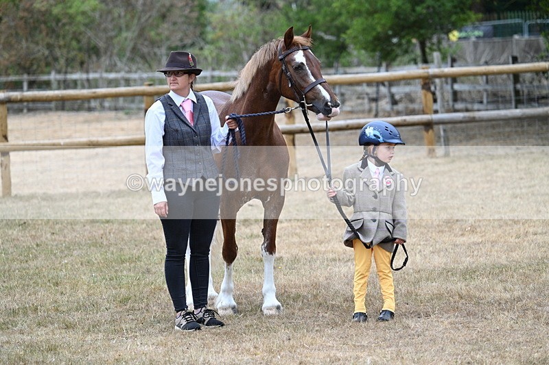 WJ7_8083 - Class 4 Prettiest Mare up to 14.2hh