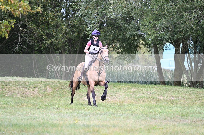 WJ7_8188 - 80cm XC Time 15:26 to 15:43