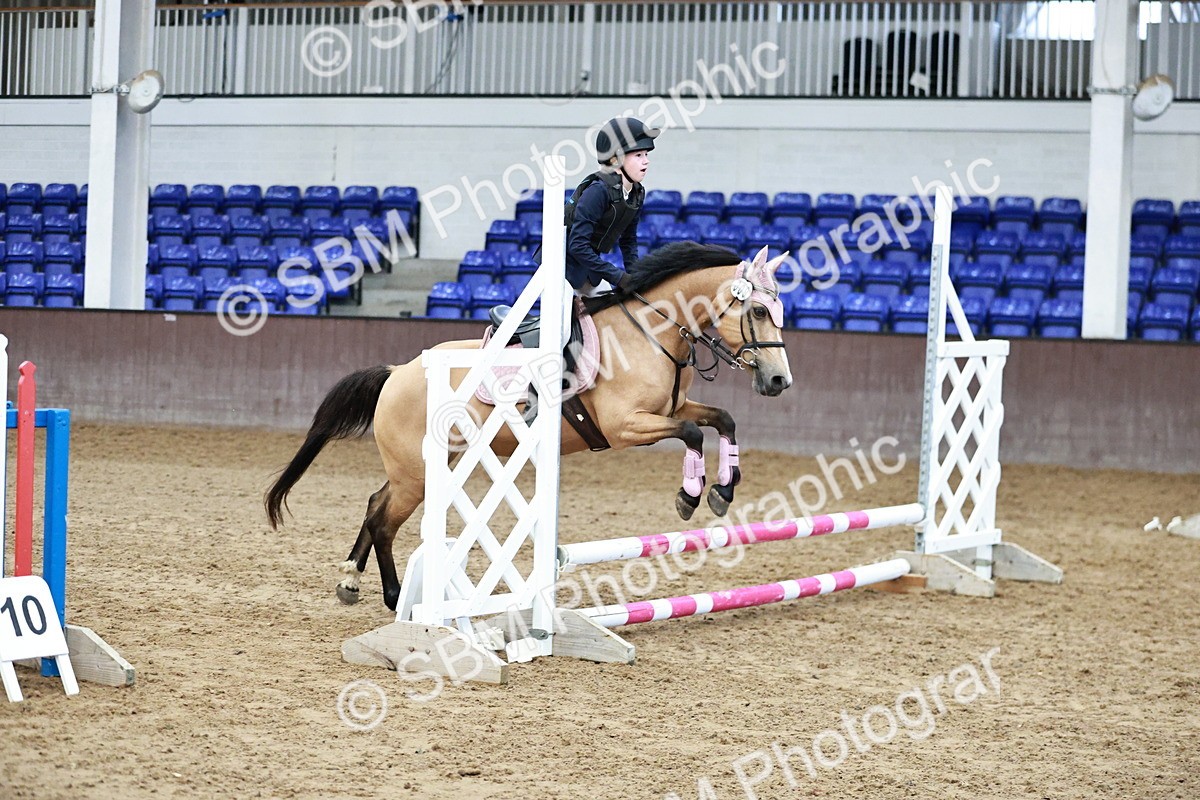 SBM_000228 - SJ - 50cm