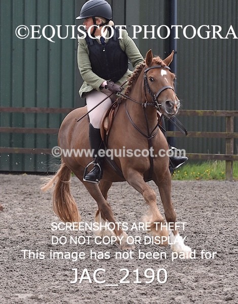 JAC_2190 - CLASS 2 Novice Working Hunter