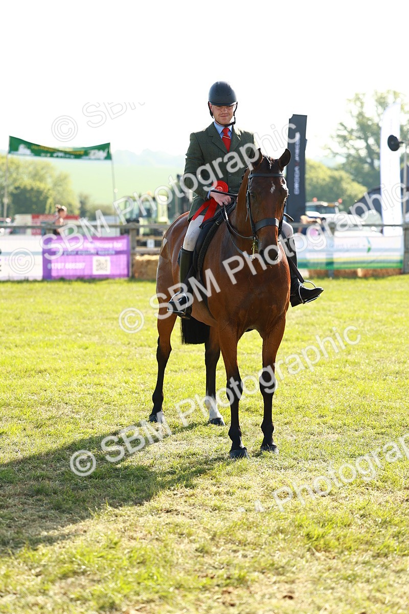SBM_10836 - Class 66-69 - RIHS Ridden Hunters Inc Small Hunter