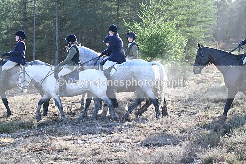 WJ7_7231 - Line 3 (no line 4 or 5)