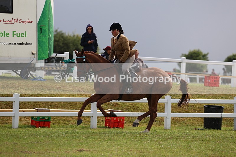 3E7A8111 - Class 2: Rising Star Large Hack/Riding Horse