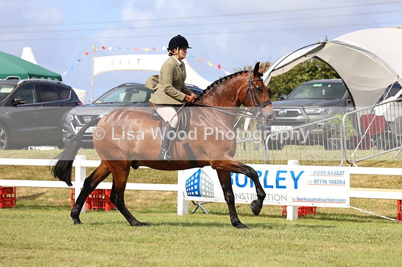 3E7A9401 - Class 4: Rising Star M/H Hunter