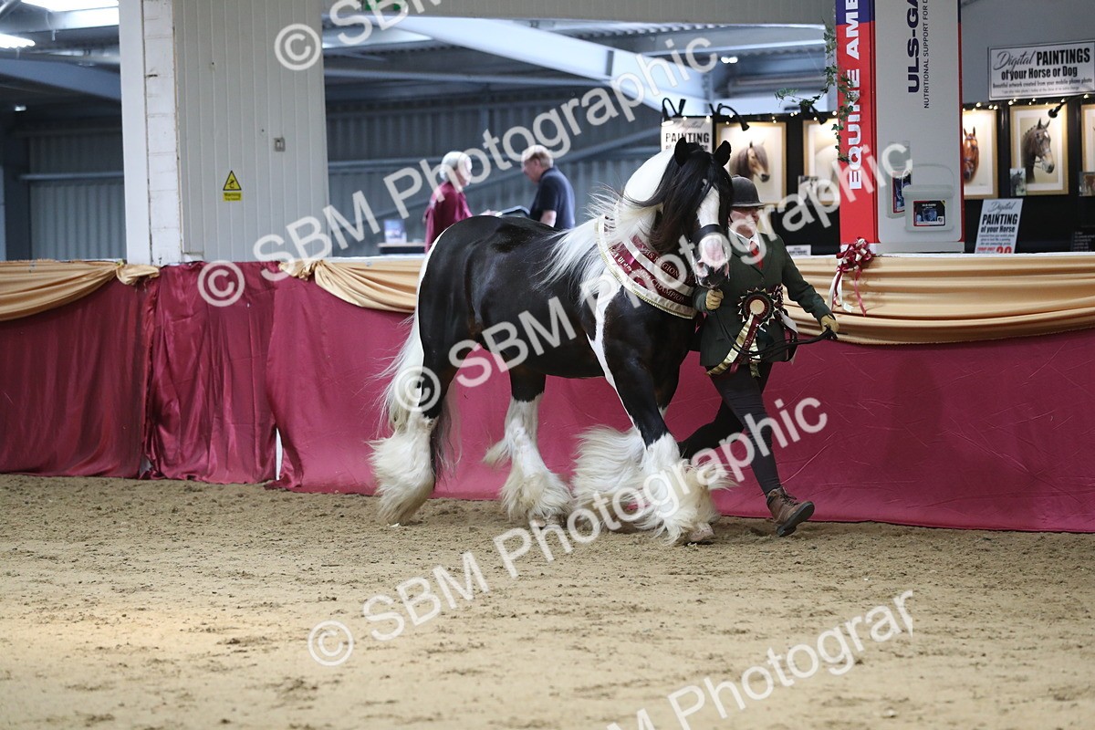 SBM_06607 - Regional IH Champ