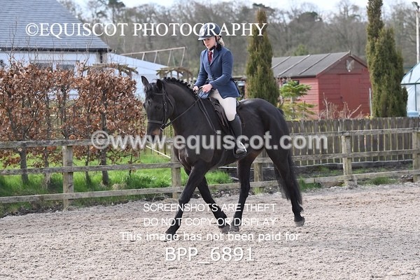 BPP_6891 - RING 1  (RIDDEN HORSES / IN HAND / VETERAN ETC)