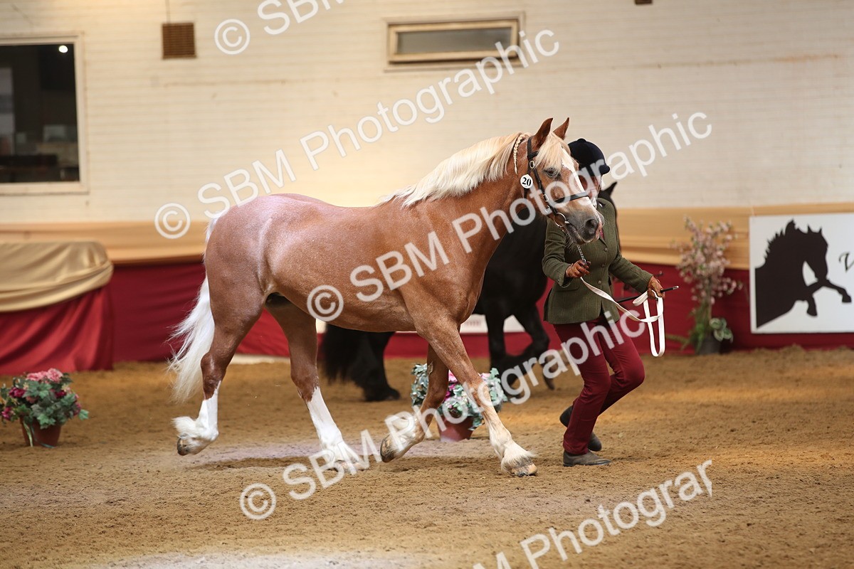 SBM_05344 - Class 8R - Regional IH Veteran