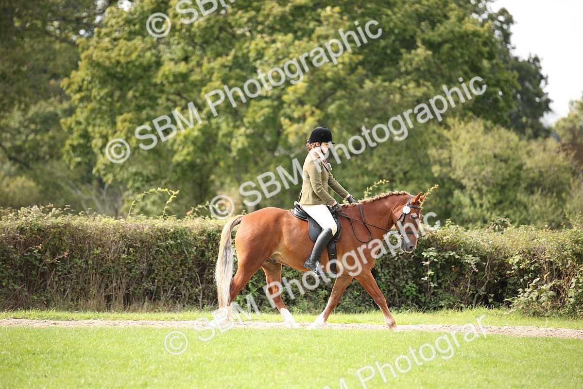 SBM_49968 - S26 - Young Veteran - Ridden