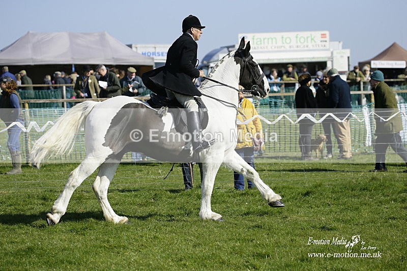 PtP 190322 484 - Wilton Hunt PtP Milborne St Andrew 19/03/22