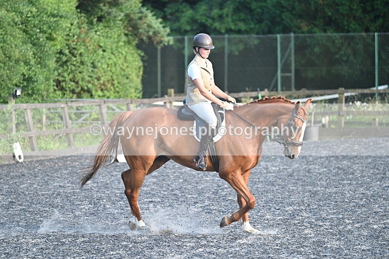 WJ7_0294 - Time 19:38 to 20:00
