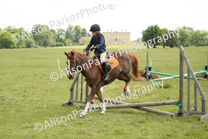 20250517-2919 - Class 25 - Horse & Hound