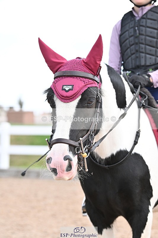 250821B-121924-00393 - Group D - Thomasina