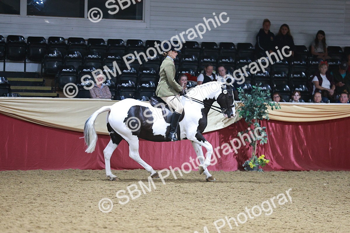 SBM_09105 - Class 12R - Regional Ridden Pre-Vet