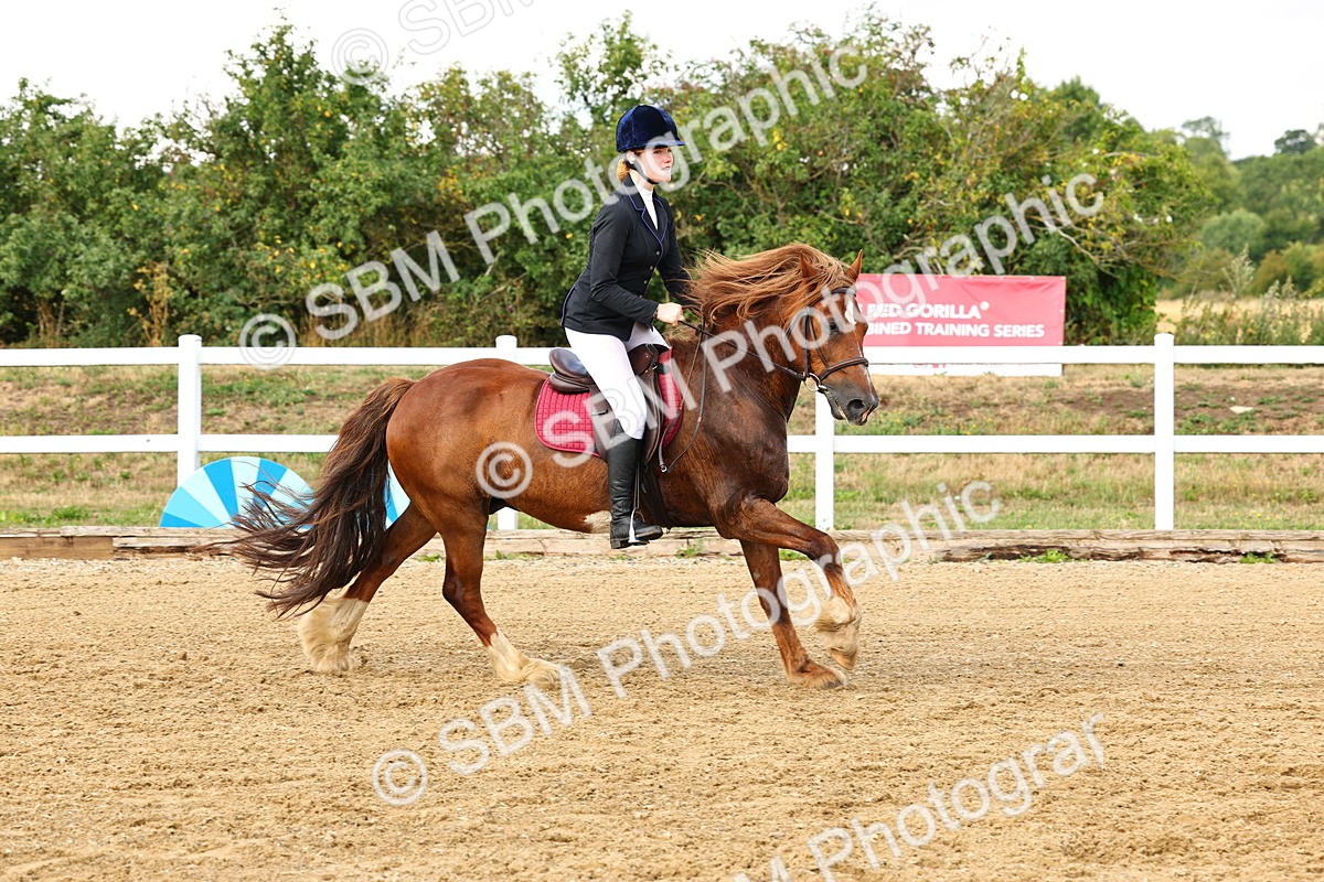 SBM_002638 - Class 7 - 1.00m