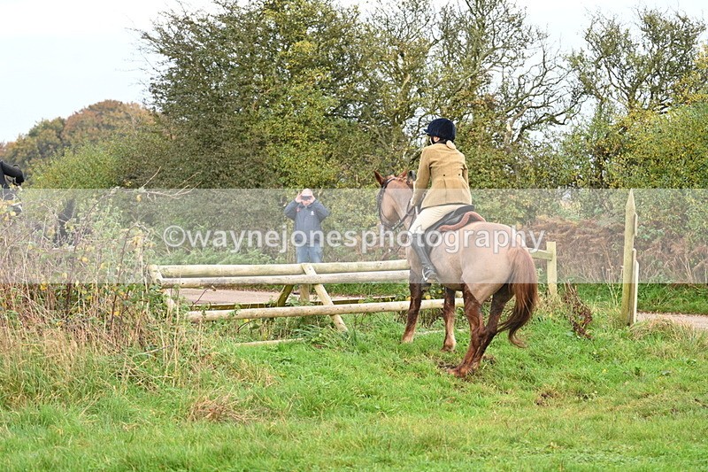 WJ7_0339 - Camera 1 & Last fence