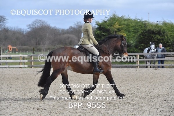 BPP_9556 - RING 2 - M&M