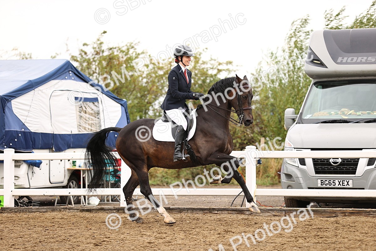 SBM_01349 - Class 54 - Riding Club Horse Pony