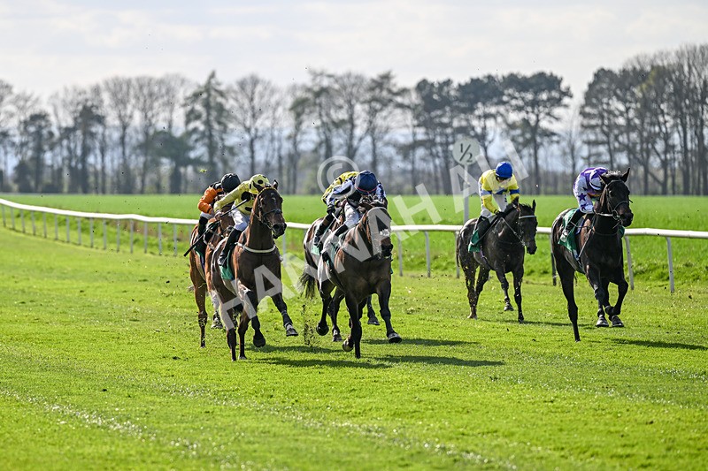 100426-Race 5-Myal-3394 - Race 5
