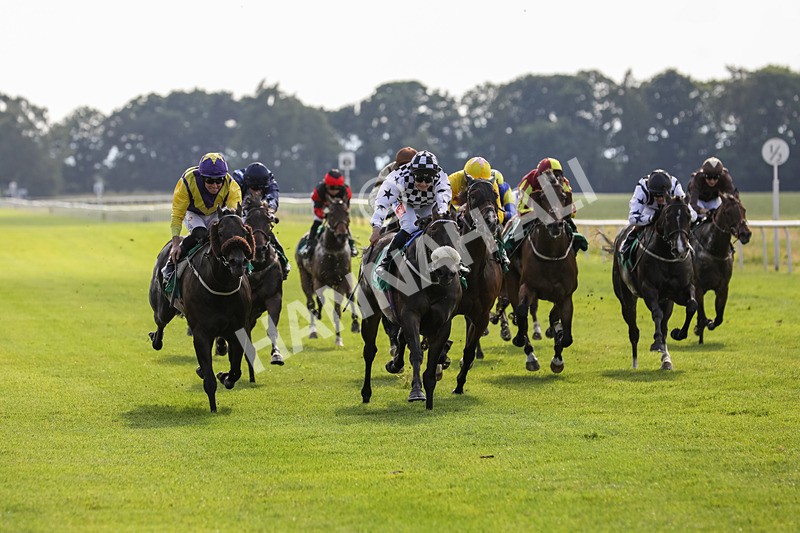 240624-Race 8-Le Beau Garcon-0603 - Race 8