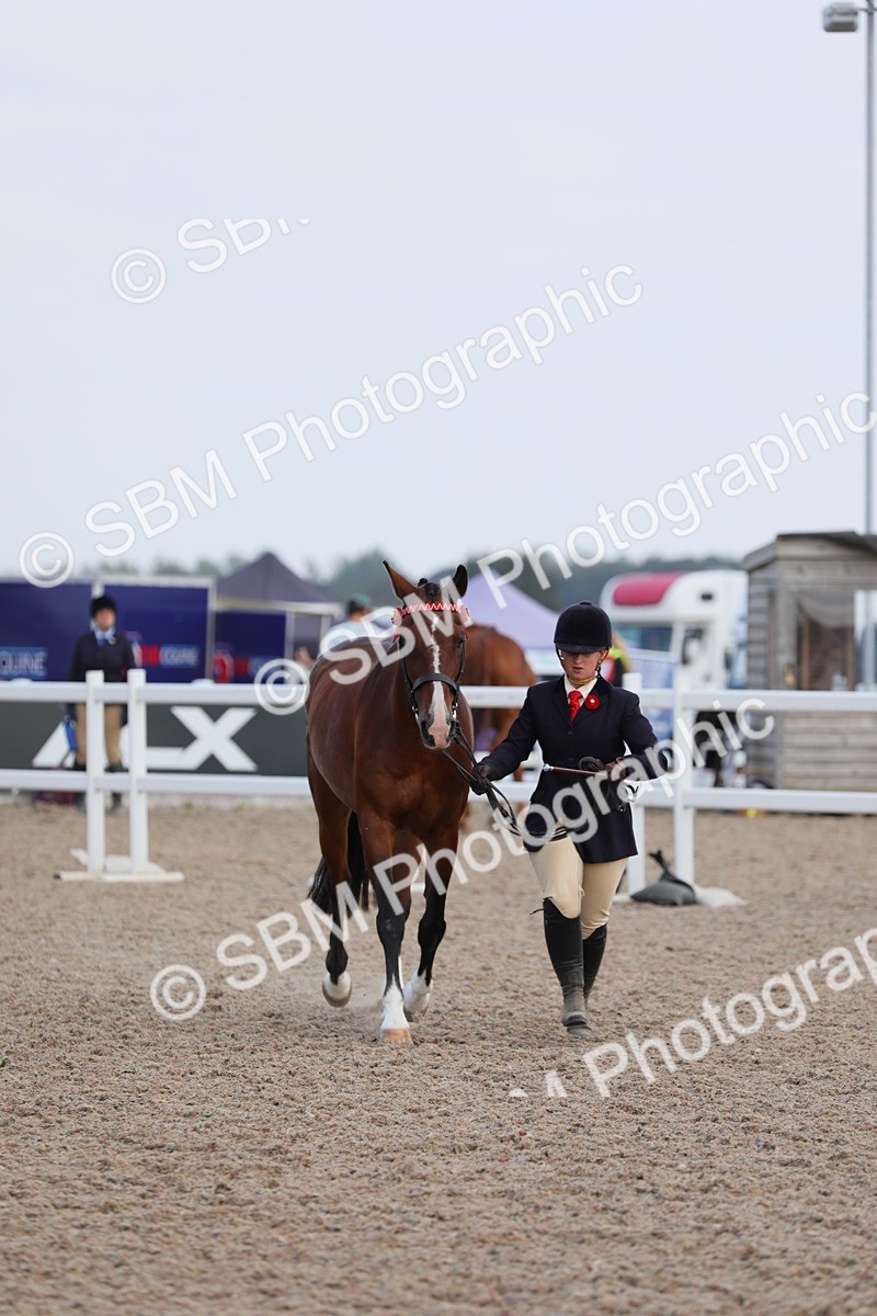SBM_15840 - Class 312 IH Competition Horse/Pony