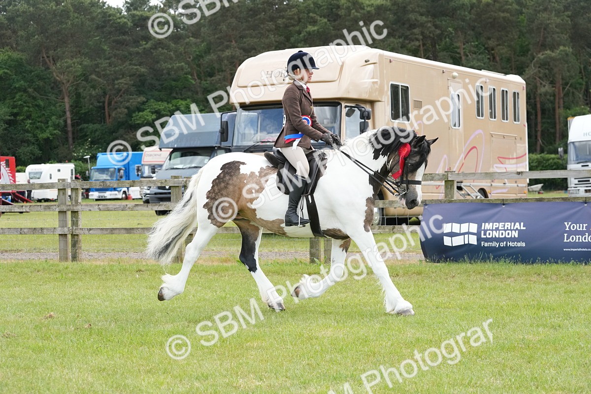 SBM_17694 - Class 107-108 - LIHS BSPS Performance Coloured Horse Pony