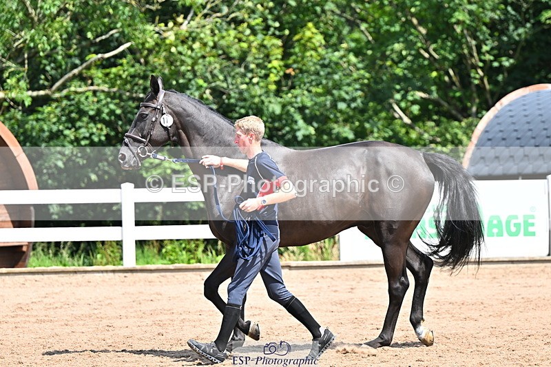 240718A-105245-01115 - Trot Up 12pm to 1pm
