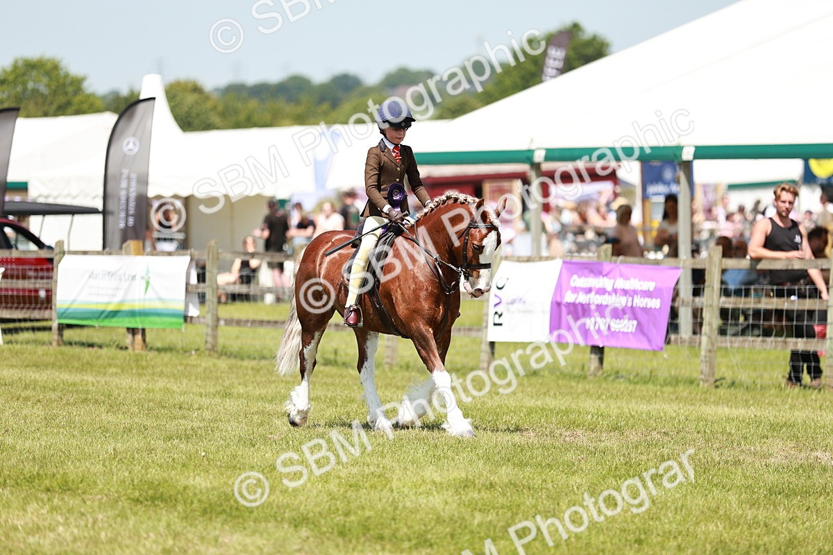 SBM_15760 - Class 108-109 - BSPS LIHS Open Gradle & Nursery Stakes