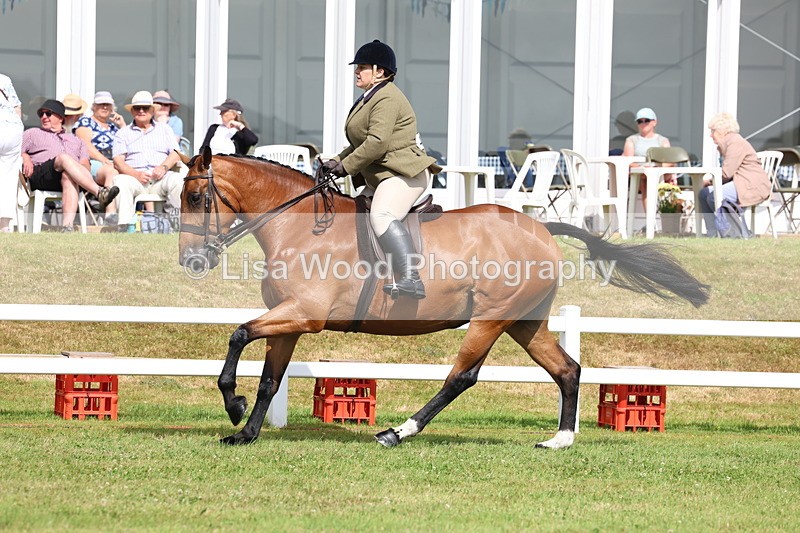 3E7A9447 - Class 4: Rising Star M/H Hunter