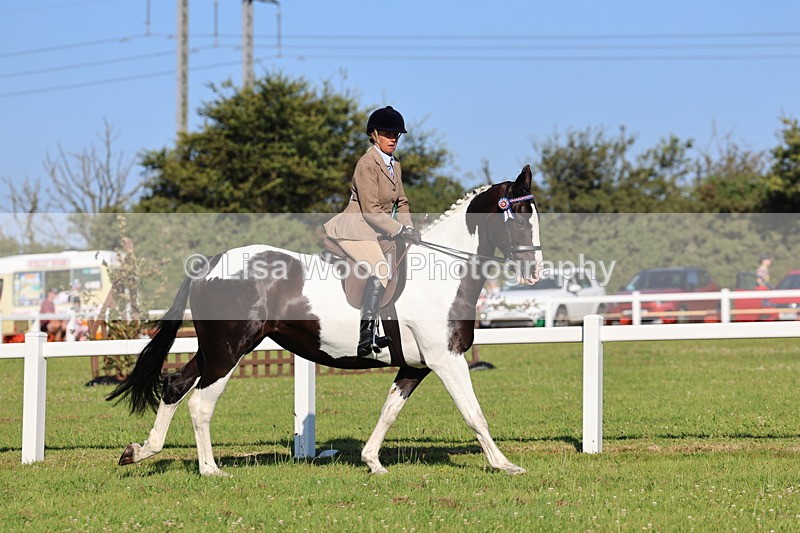IMG_1362 - Class 27: Ridden Plaited Coloured Horse