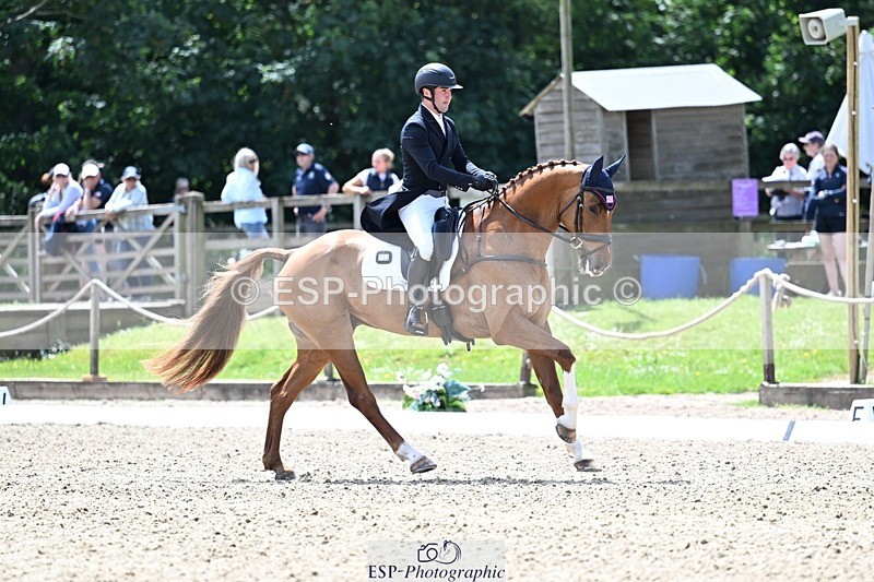 260529A-134216-10501 - G-773-Tommy.Greengard