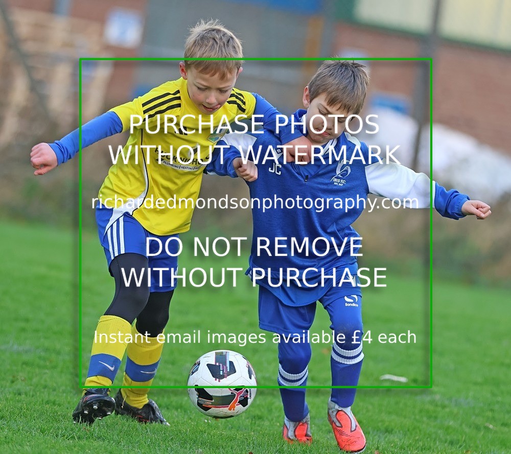 533A6016 - Ibis Under 8's (29/11/25)