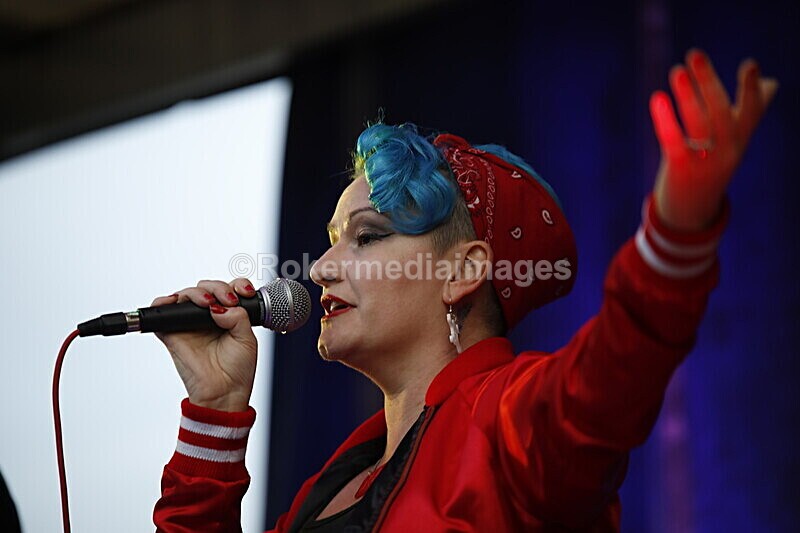  - ELMSTOCK 2019 the music makers