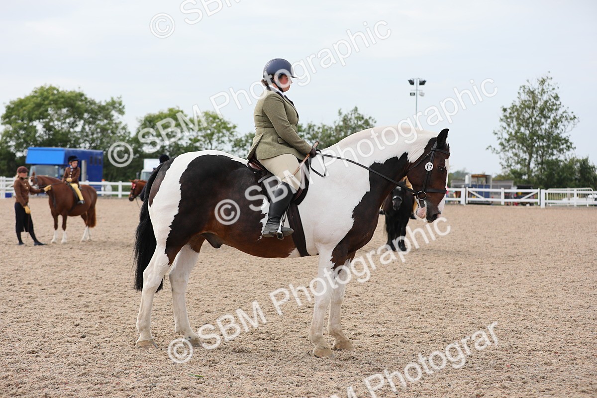 SBM_16947 - Class 314 Family Horse/Pony
