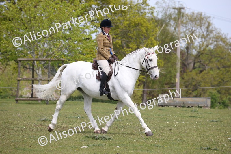 20260426-4449 - Class 34 - Best Riding Horse Over 14.2hh